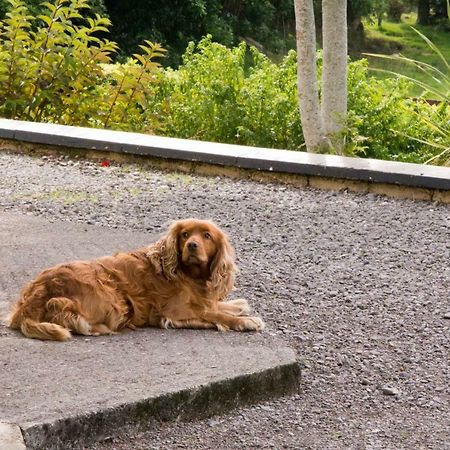 Mountain View B&B Lauragh Luaran gambar